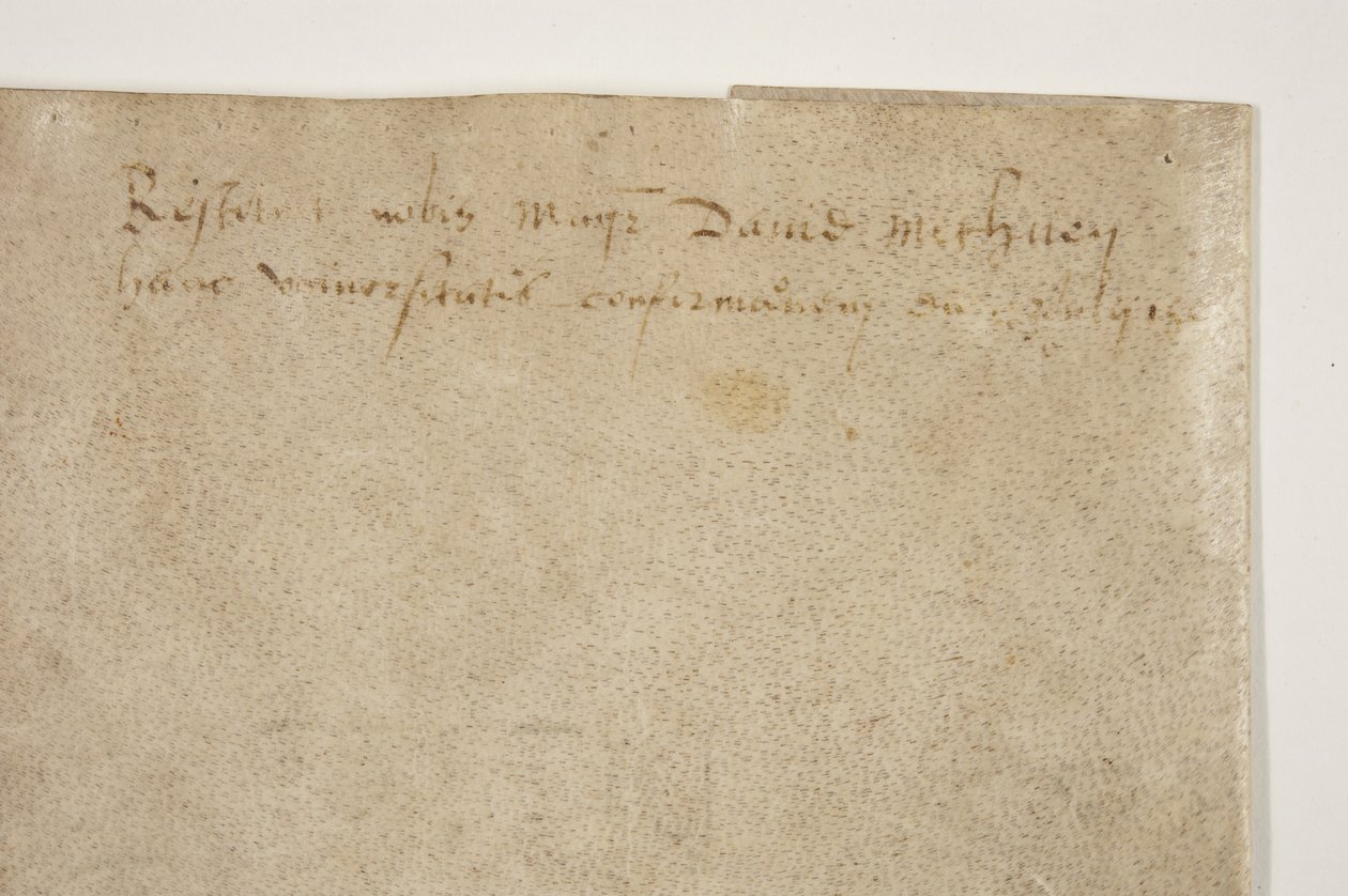 Papal Bull bekrefter charteret til biskop Henry Wardlaw, verso av Unbekannt