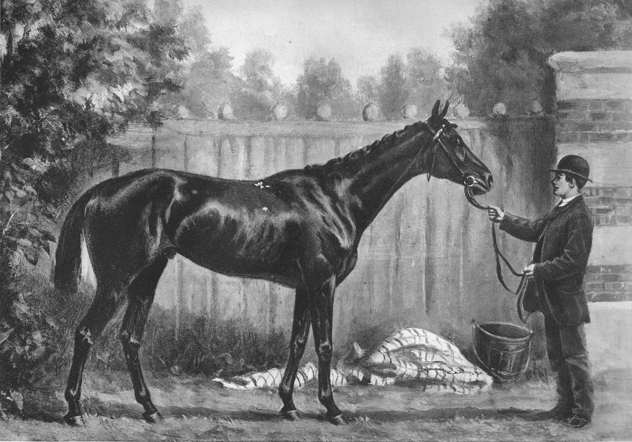 Paradox, 1882-1890, 1911 av Unbekannt