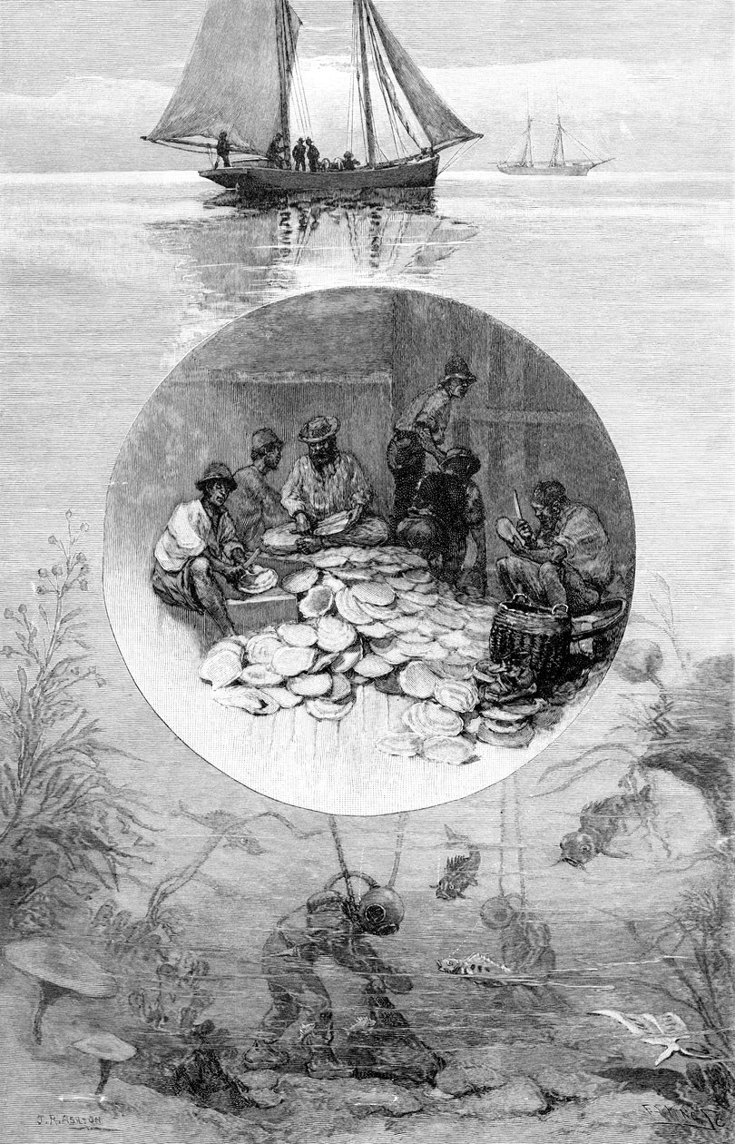 Pearl Fishery, Torres Strait, Australia, 1886 av Unbekannt