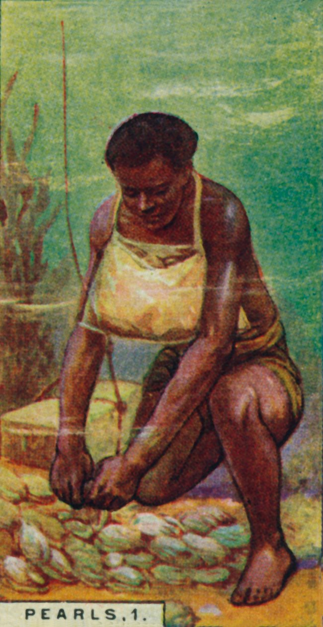 Pearls 1. Native Diver at Work, Ceylon, 1928 av Unbekannt