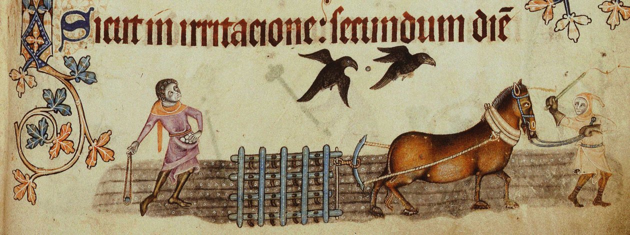 Bønder som pløyer fra Luttrell Psalter, ca 1330 av Unbekannt