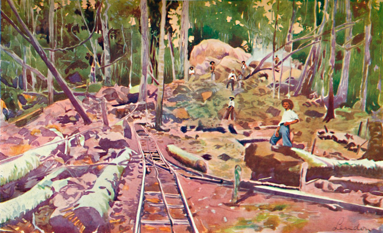 Penetrerer Amazonasskogen - Madeira-Mamoré jernbane, 1914 av Unbekannt