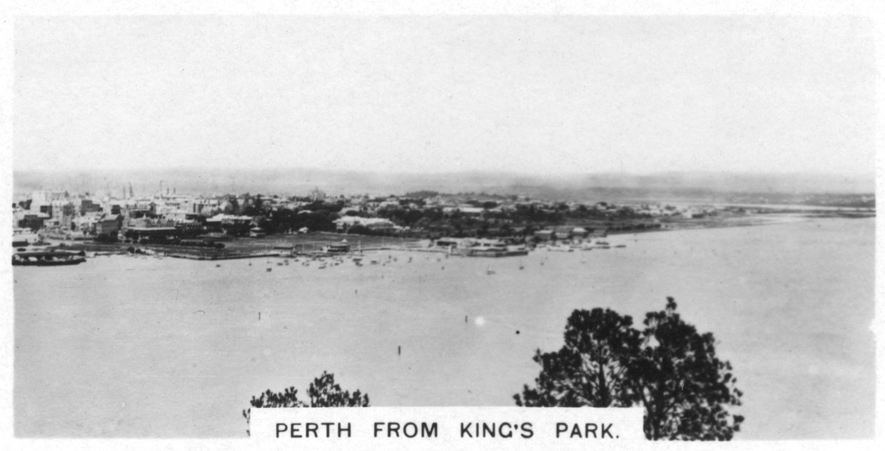 Perth fra Kings Park, Western Australia, 1928 av Unbekannt