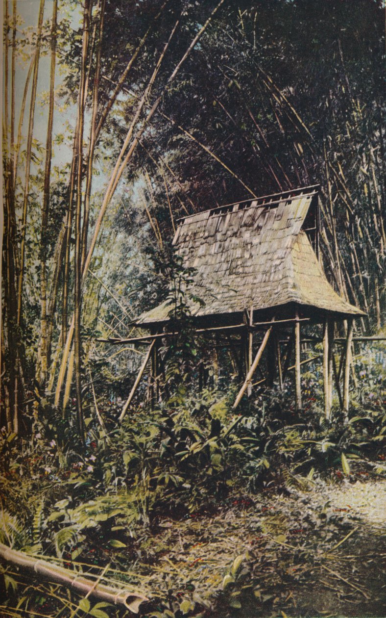 Filippinske øyene, ca 1930-tallet av Unbekannt