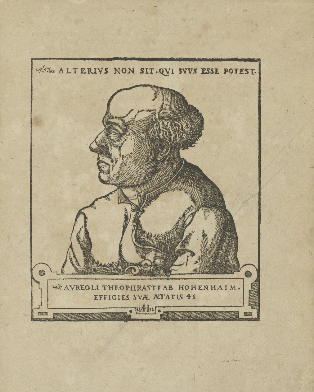 Philippus Theophrastus Aureolus Bombastus von Hohenheim Paracelsus, ca 1538. av Unbekannt