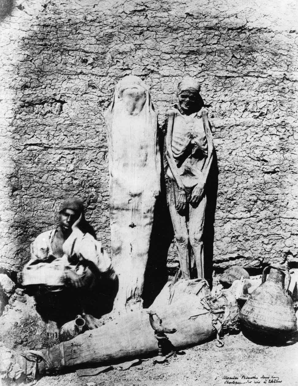 Foto av mumier, 1860 av Unbekannt