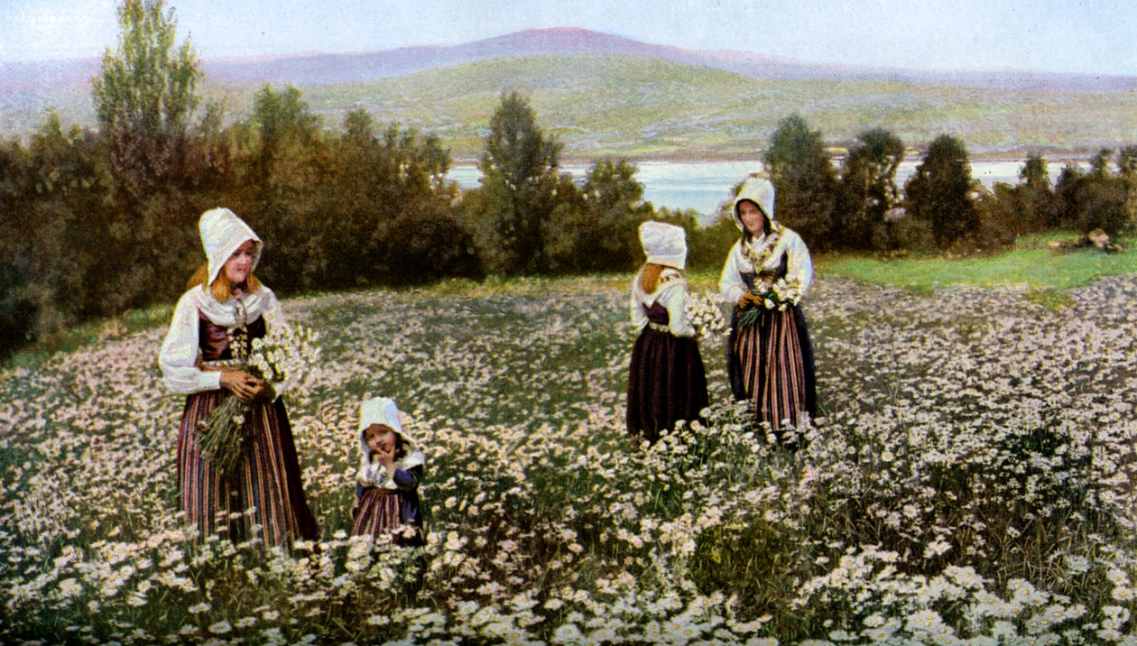 Plukker blomster i en eng nær Leksand, Sverige, c1923 av Unbekannt