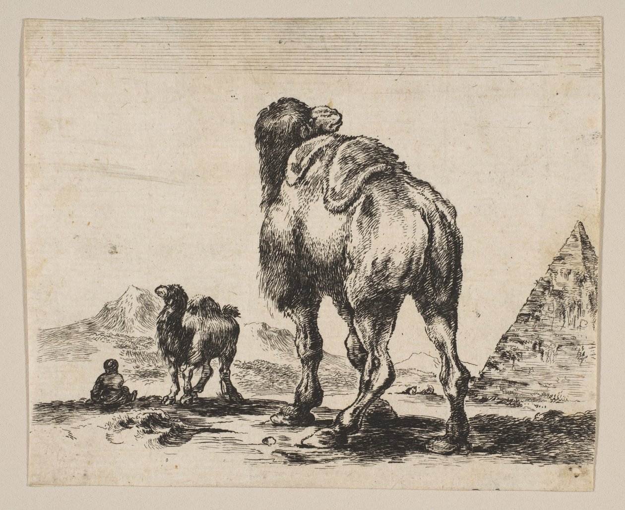 Plate 18: kamel sett bakfra med pyramide til høyre, fra Diverse dyr Di..., etter 1641. av Unbekannt