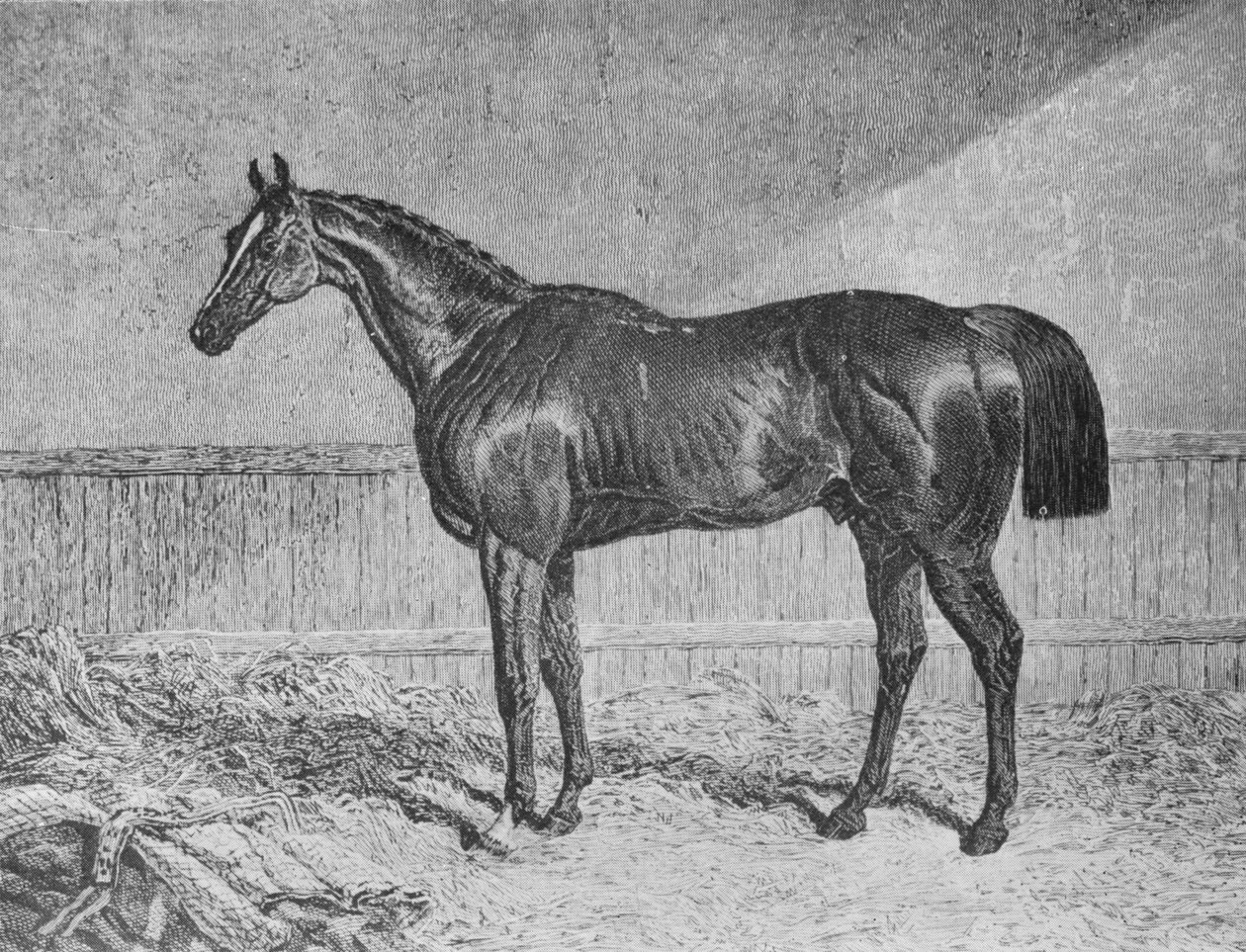 Fullmektig, 1831-1854, 1911 av Unbekannt