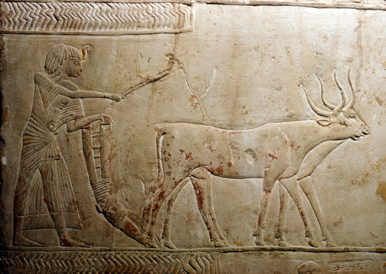 Pløying fra en egyptisk stele, 18. dynasti, 1332-1323 f.Kr. av Unbekannt