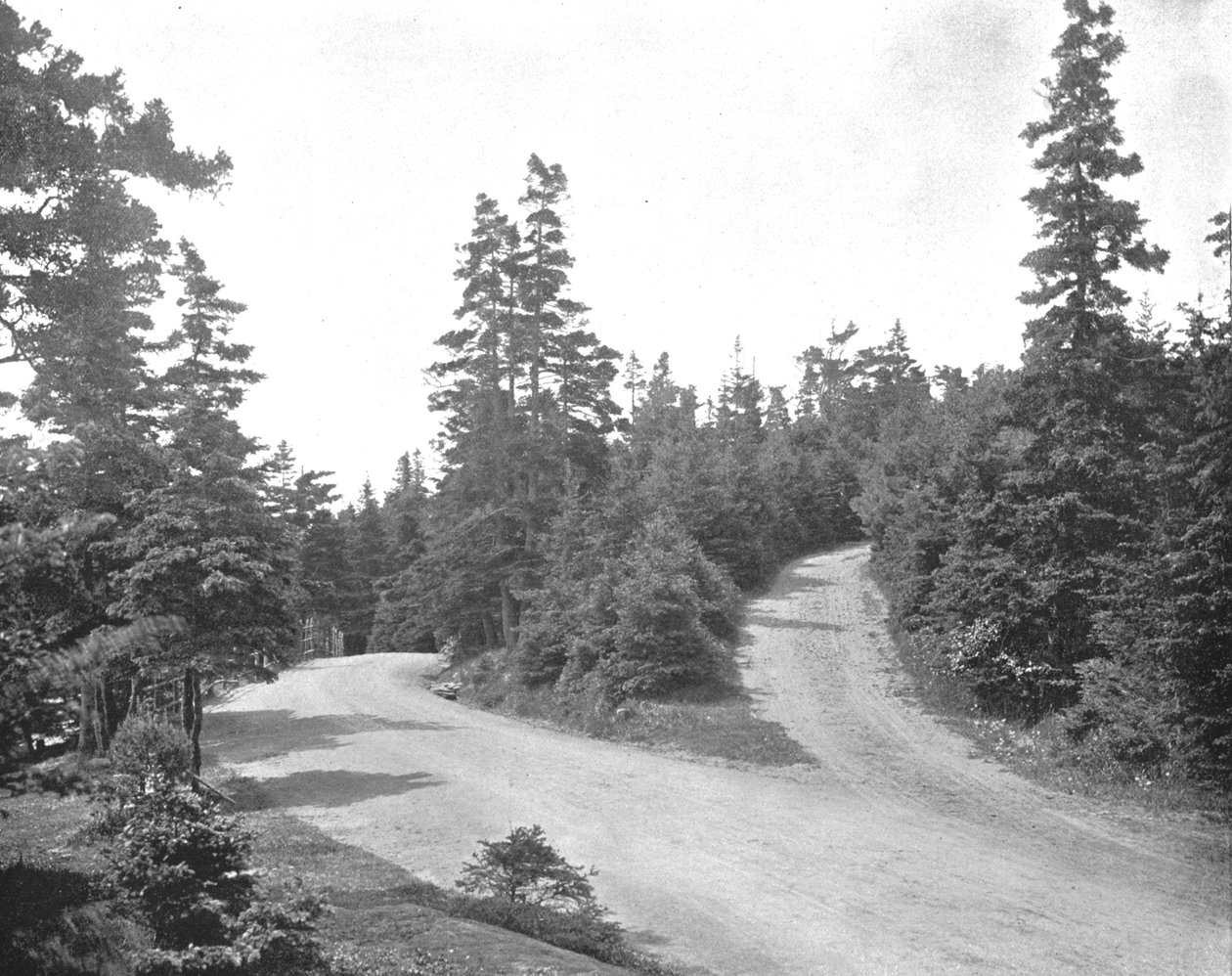 Point Pleasant Park, Halifax, Nova Scotia, Canada, c1900. av Unbekannt