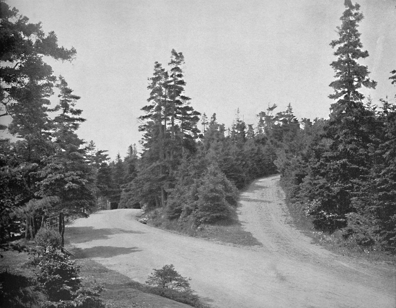 Point Pleasant Park, Halifax, Nova Scotia, c1897. av Unbekannt