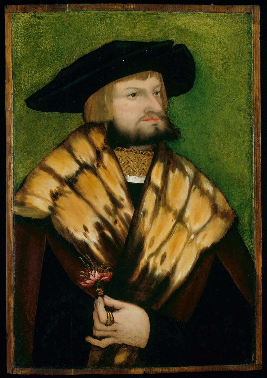 Portrett av Leonhard Fuchs, 1525. av Unbekannt