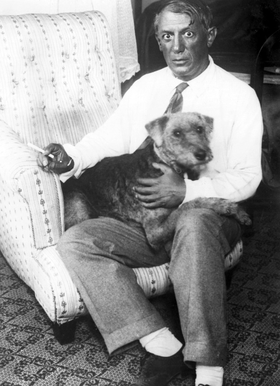 Portrett av Pablo Ruiz PICASSO (1881-1973), spansk maler (s/hvitt foto) av Unbekannt