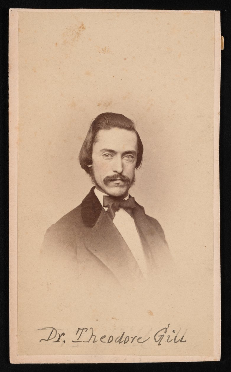 Portrett av Theodore Nicholas Gill 1837-1914, ca 1860-tallet. av Unbekannt