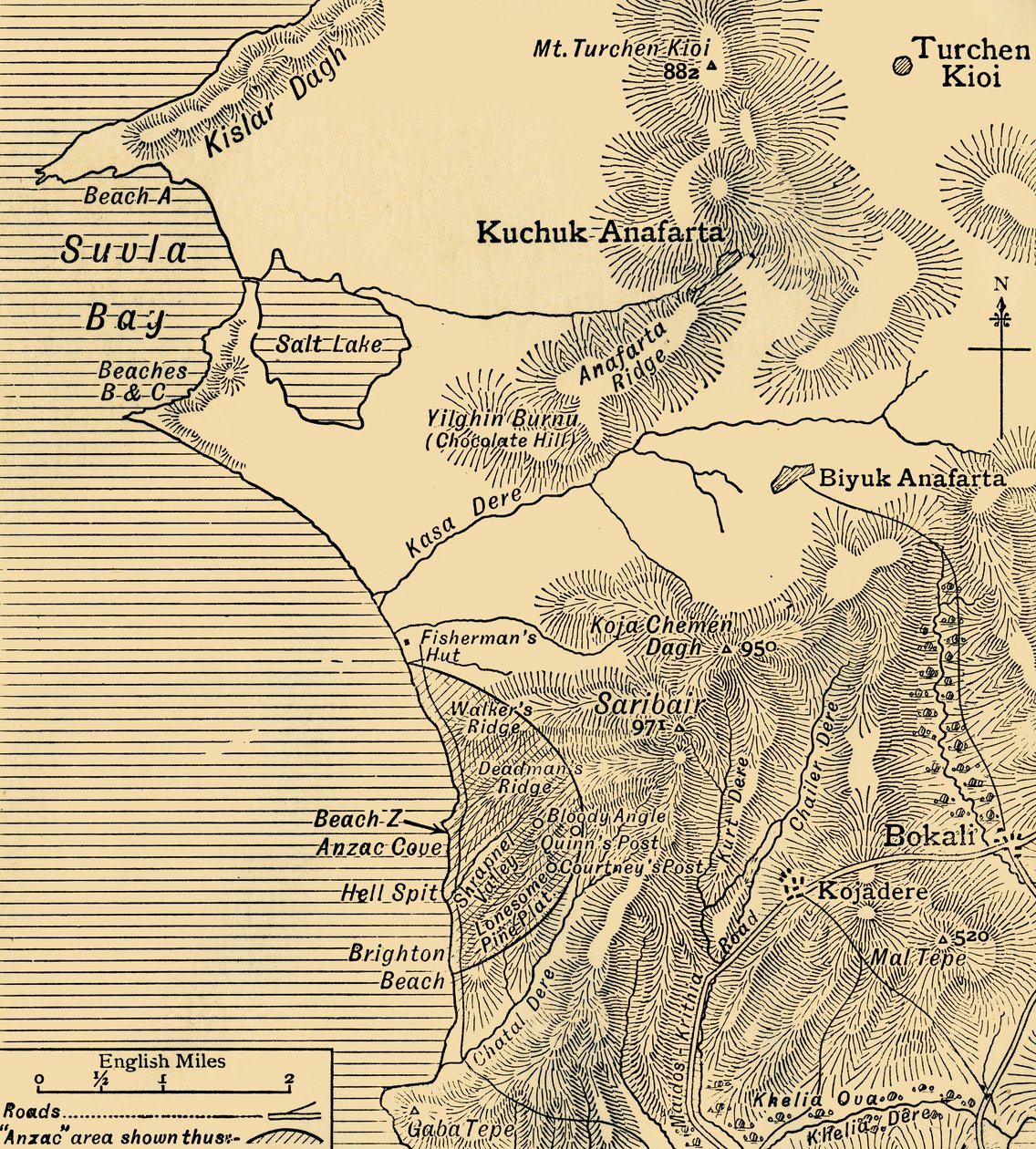 Posisjoner til ANZAC-styrker på Gallipoli-halvøya i Tyrkia, første verdenskrig, juli 1915, c1920. av Unbekannt
