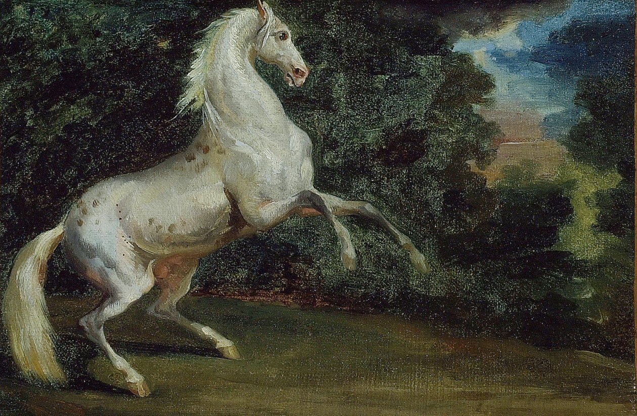 Stigende hest, 180812. av Unbekannt