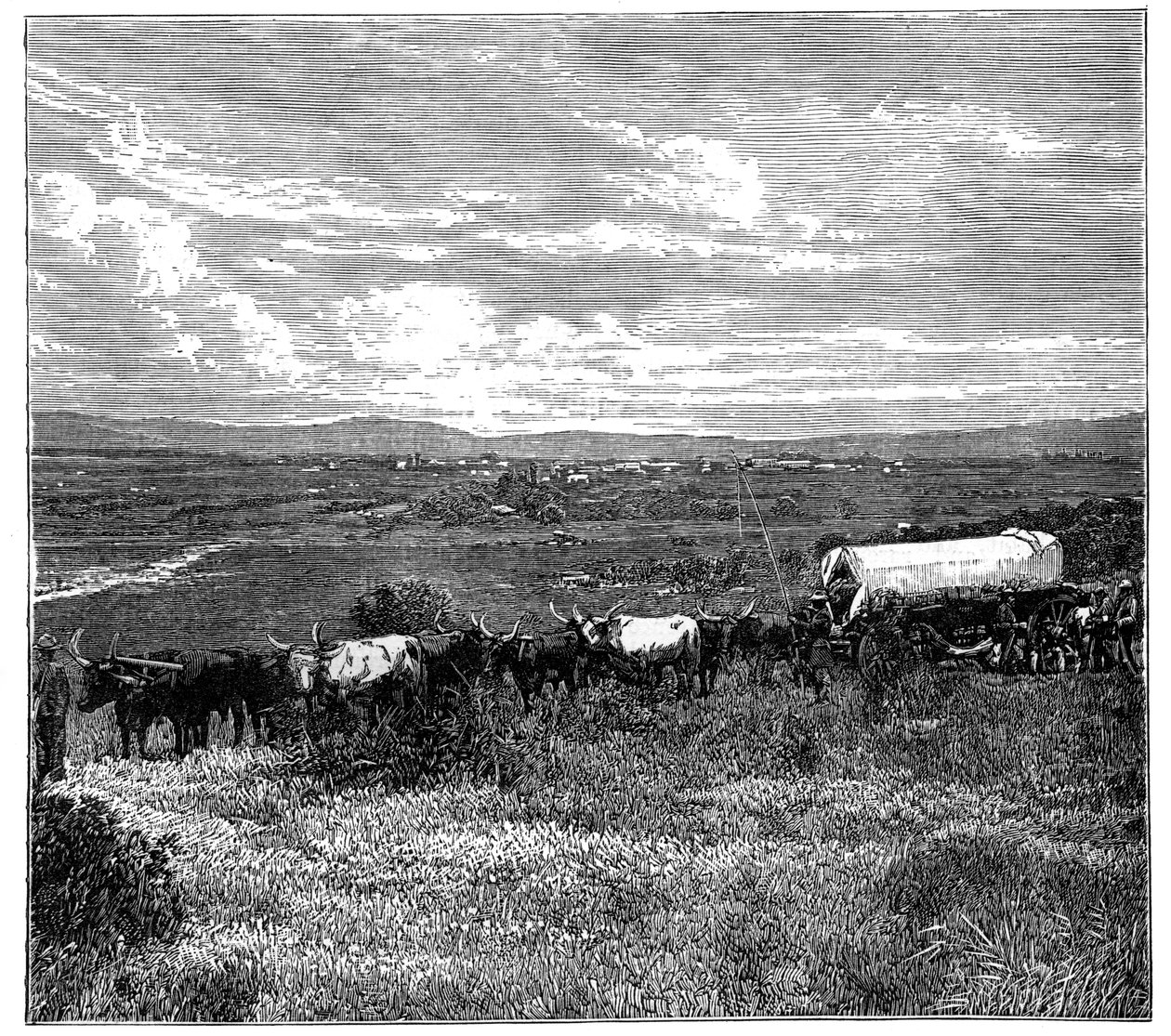 Pretoria, Sør-Afrika, c1890 av Unbekannt