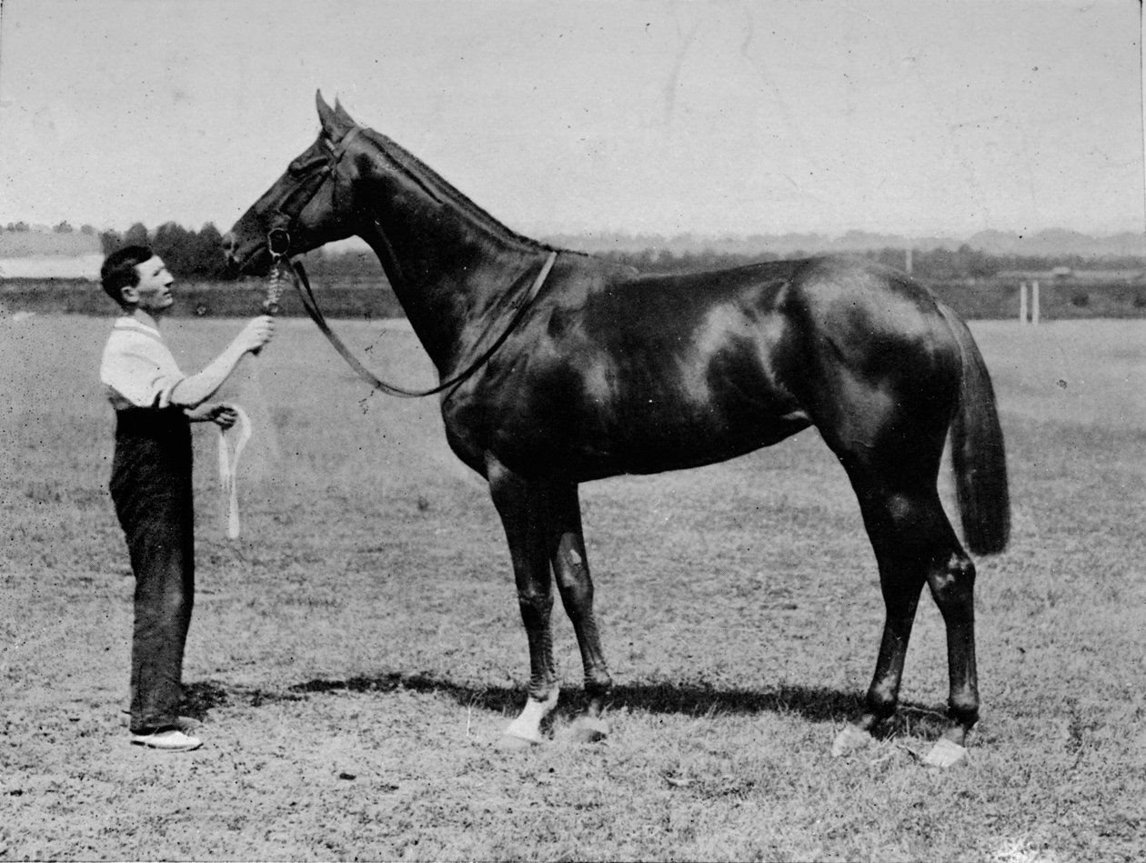 Pretty Polly, 1901-1931, 1911 av Unbekannt