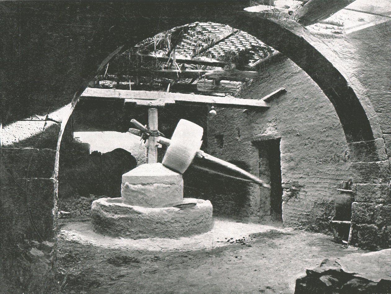 Primitiv maismølle, Nildeltaet, Egypt, 1895. av Unbekannt