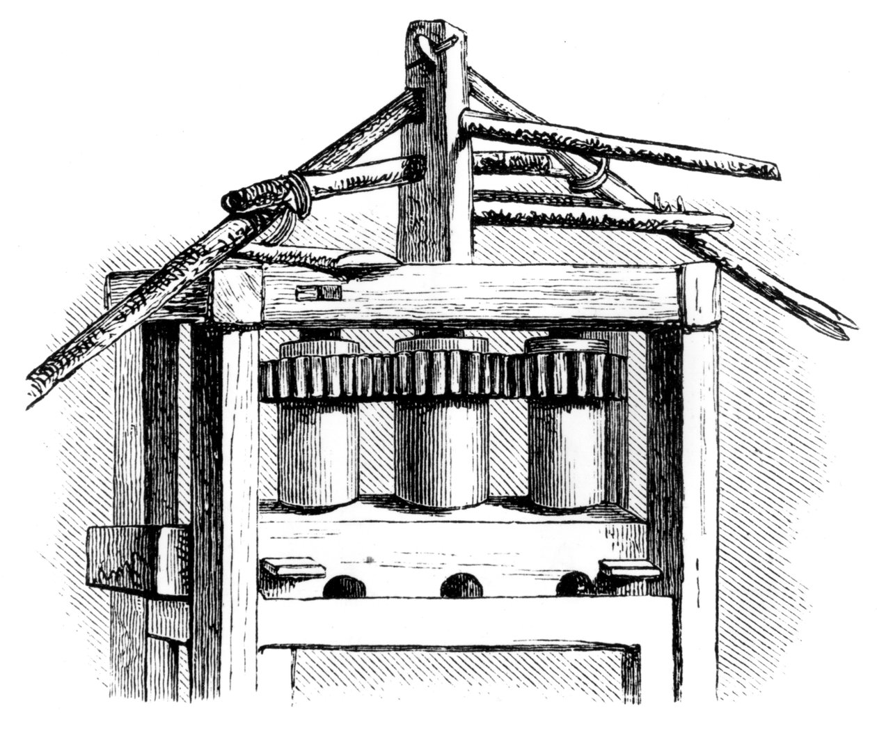 Primitiv sukkerfabrikk, Santo Domingo, 1873 av Unbekannt