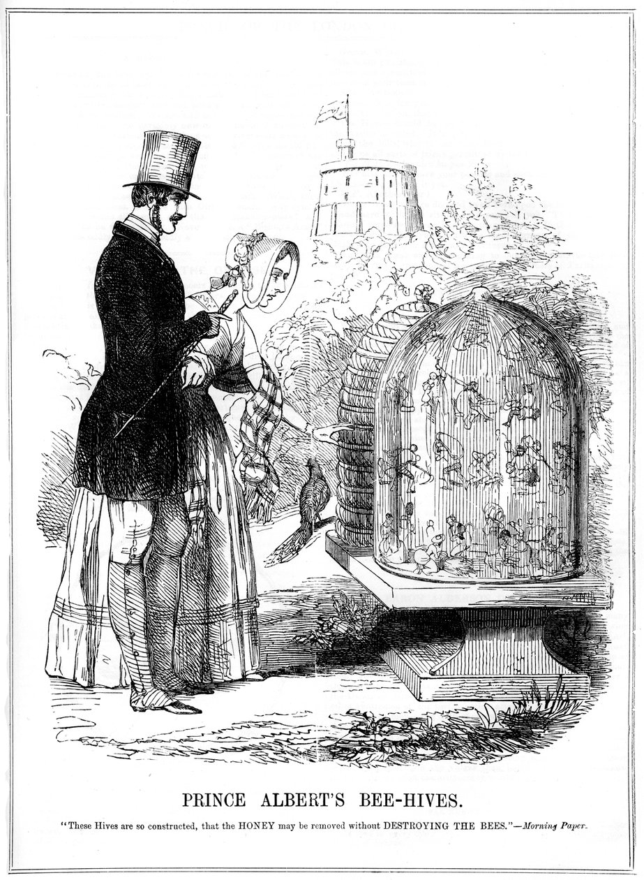 Prince Alberts Bee-Hives, 1843 av Unbekannt