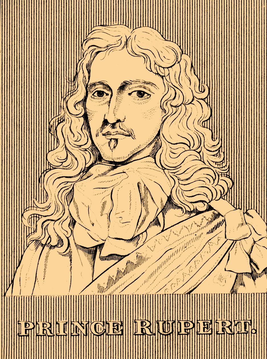 Prins Rupert, 1619-1682, 1830. av Unbekannt