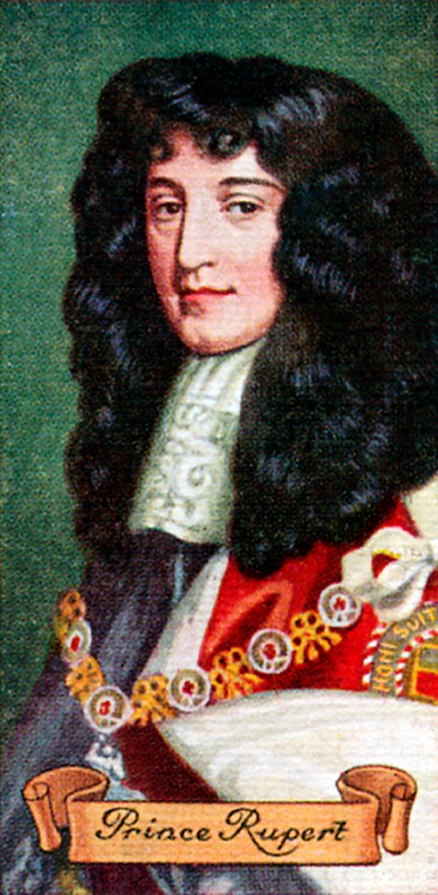 Prince Rupert, hentet fra en serie sigarettkort, 1935 av Unbekannt