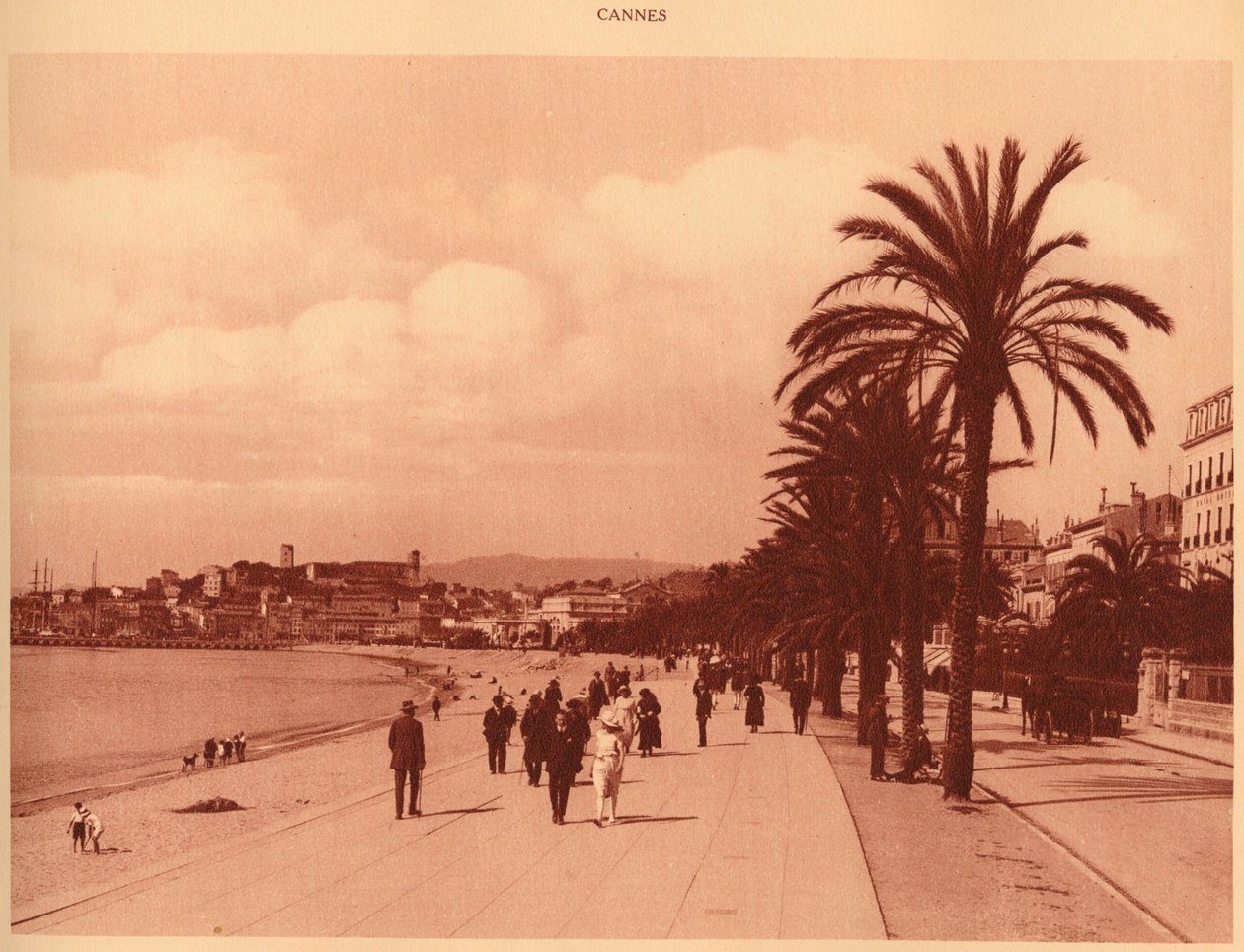 Promenade de la Croisette og Mont Chevalier, Cannes, 1930. av Unbekannt