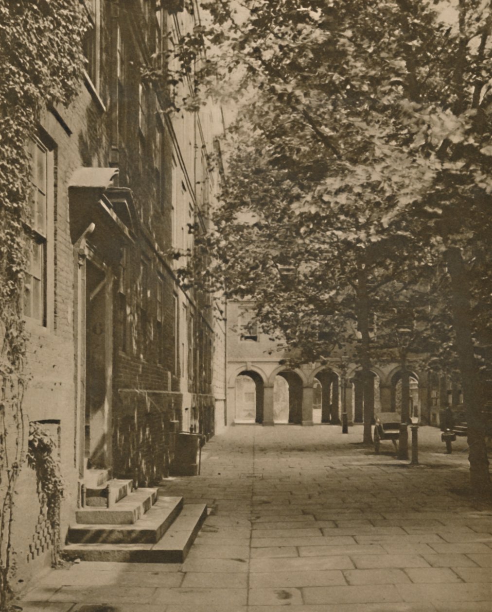 Pumpebane i sitt sommerplagg av blader og sollys, c1935. av Unbekannt
