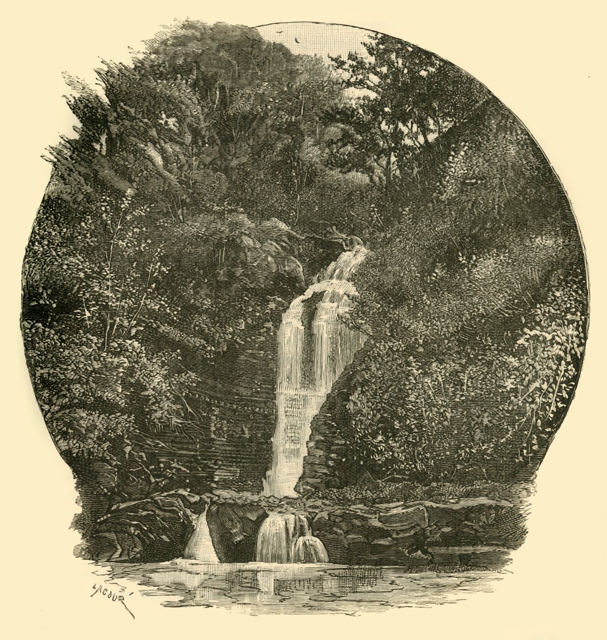 Pyrddin Falls, Vale of Neath, 1898. av Unbekannt