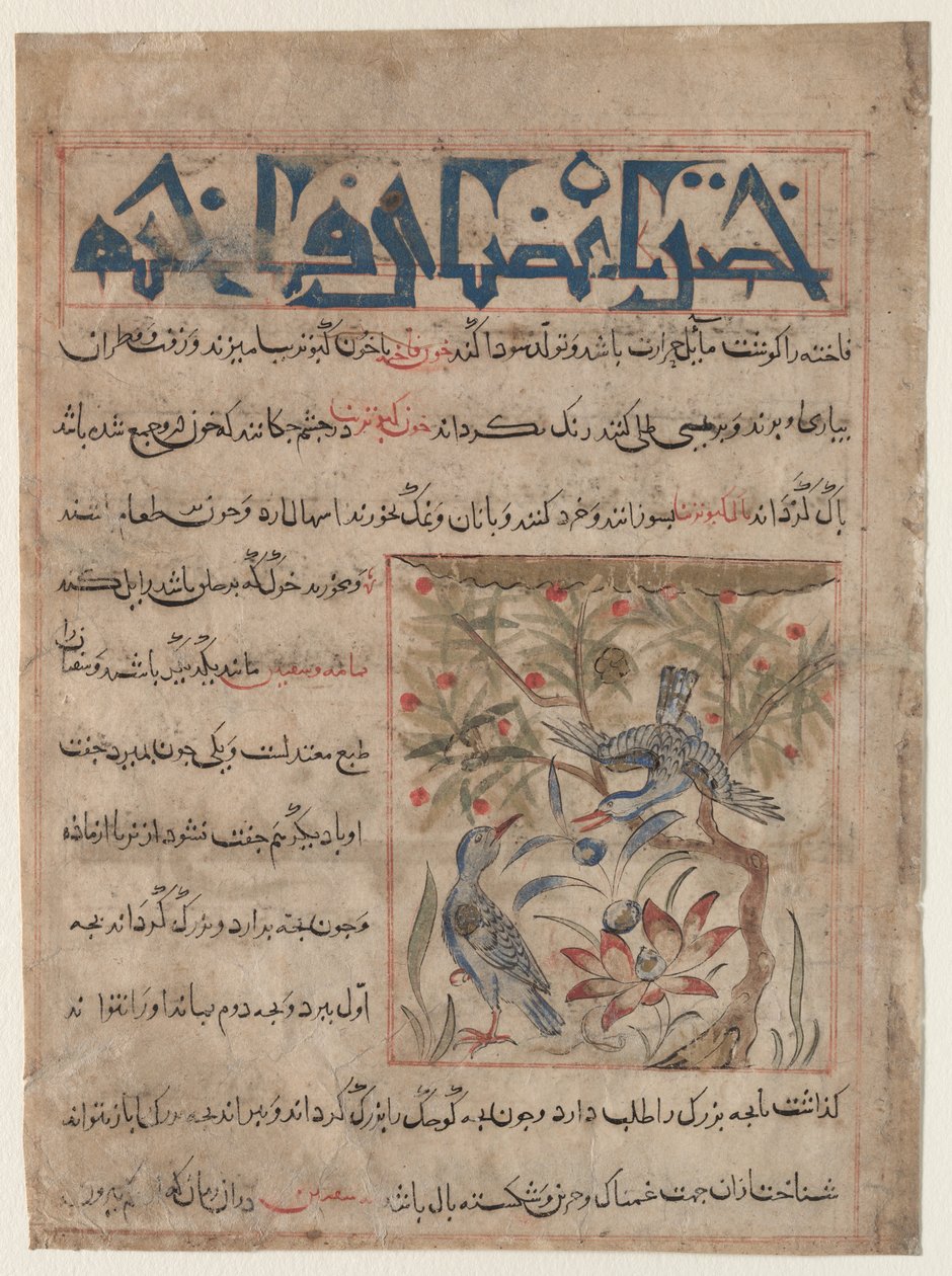 Kvaliteter til Ringdoves recto, On the Benefits of Quails verso..., ca. 1300. av Unbekannt