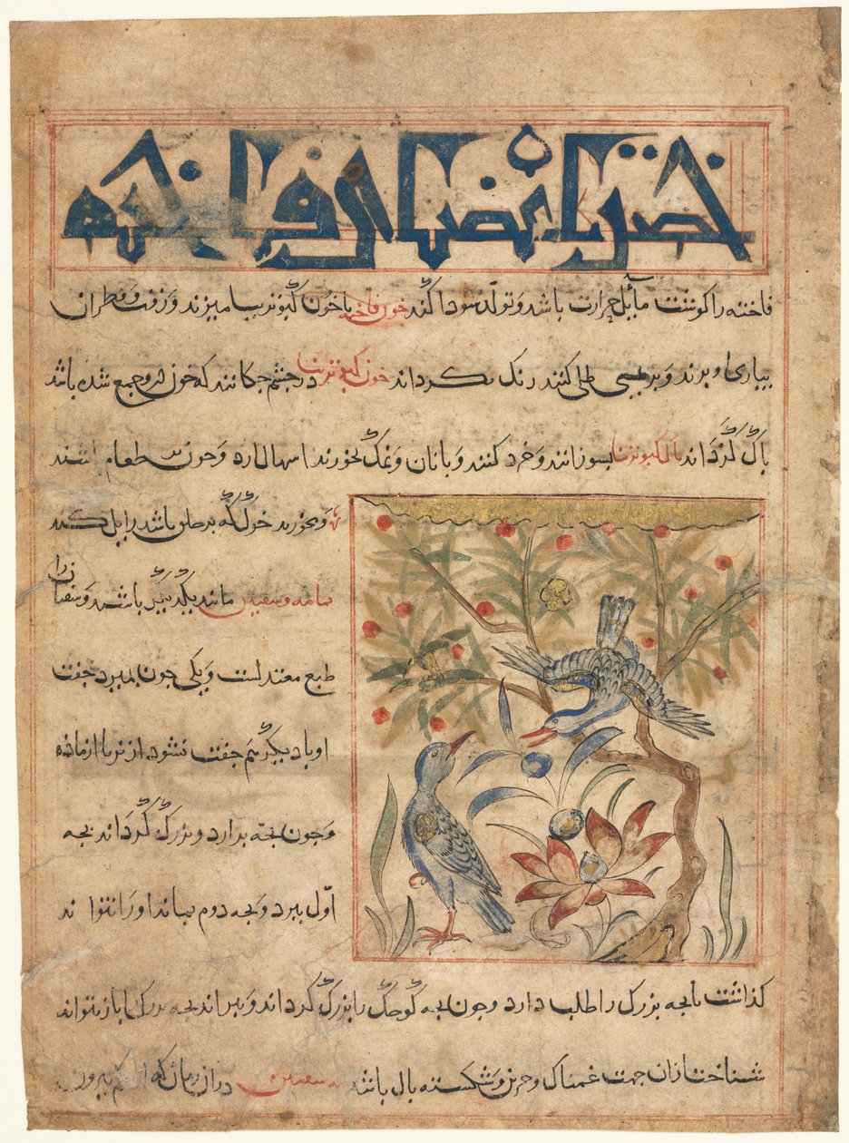 Kvaliteter til Ringdoves recto fra en Manafi al-Hayawan On the Usefulness of Animals, ca. 1300. av Unbekannt