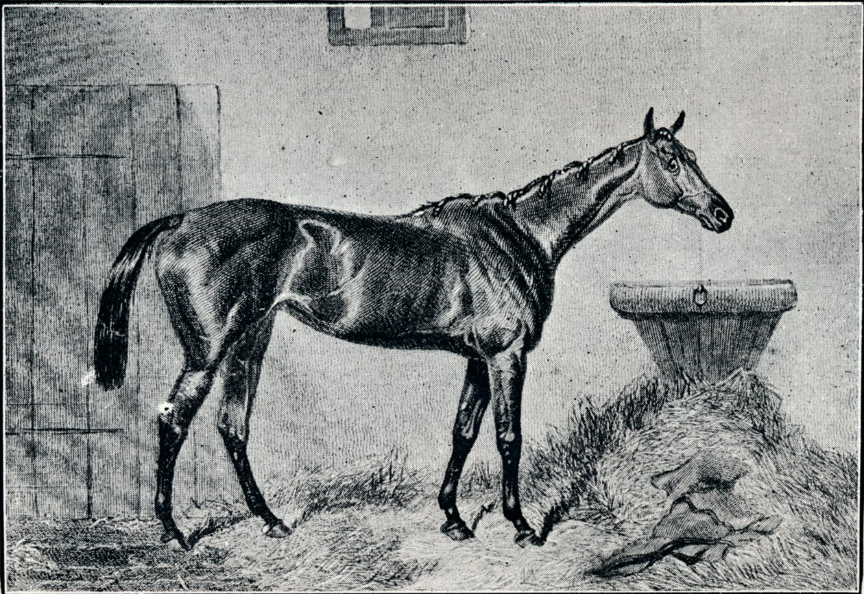 Dronning Bertha, 1800-tallet, 1911 av Unbekannt