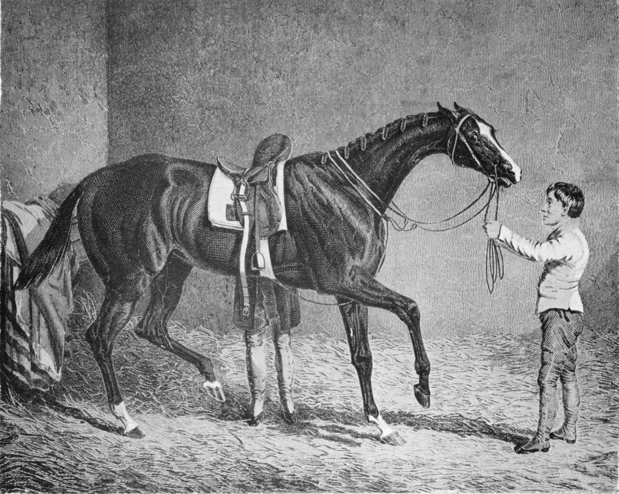 Dronningen av Trumps, 1832-1843, 1911 av Unbekannt