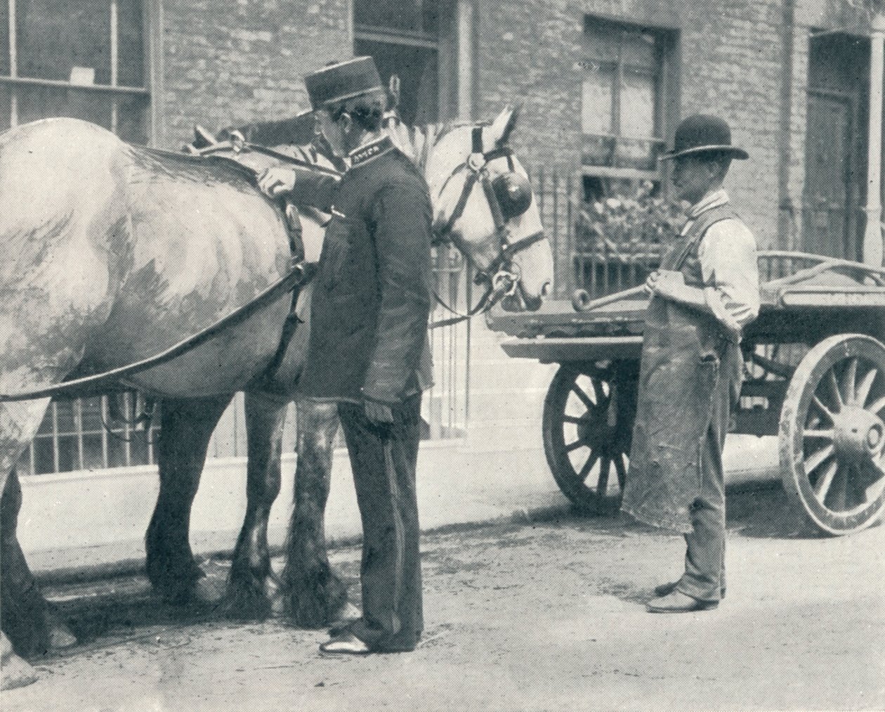 RSPCA-inspektør undersøker en hest, c1903 1903 av Unbekannt