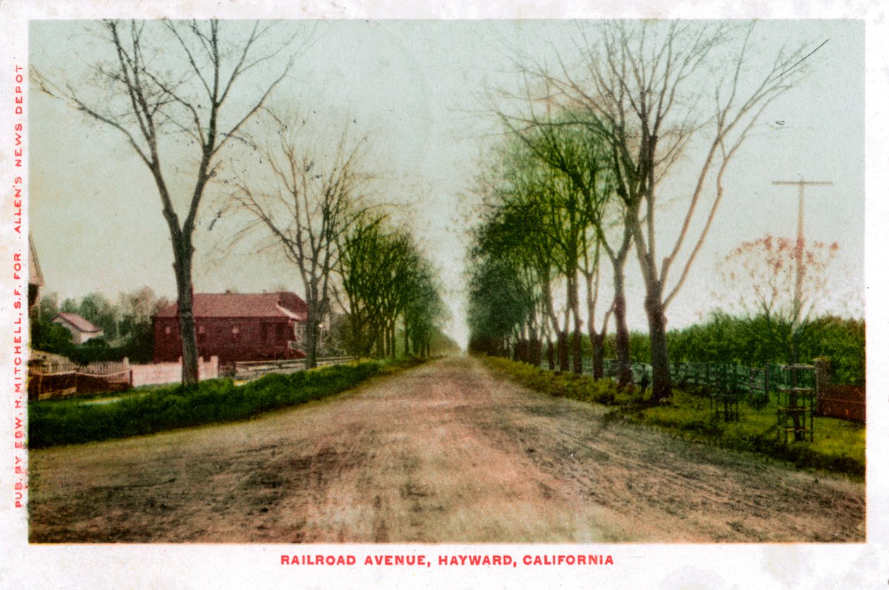 Railroad Avenue, Hayward, California, 1905 av Unbekannt