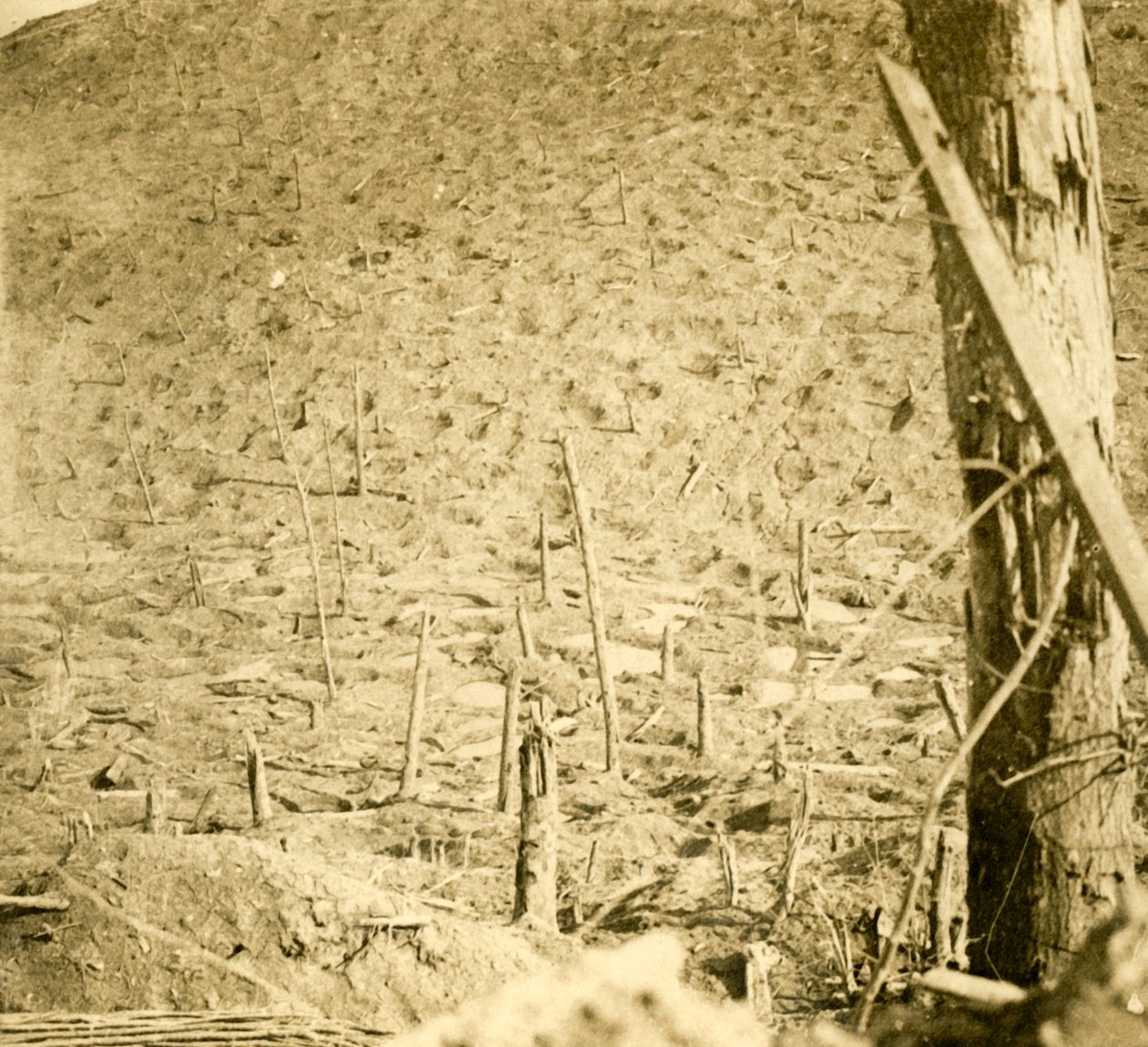 Ravine ved Les Éparges, Nord-Frankrike, c1914-c1918. av Unbekannt