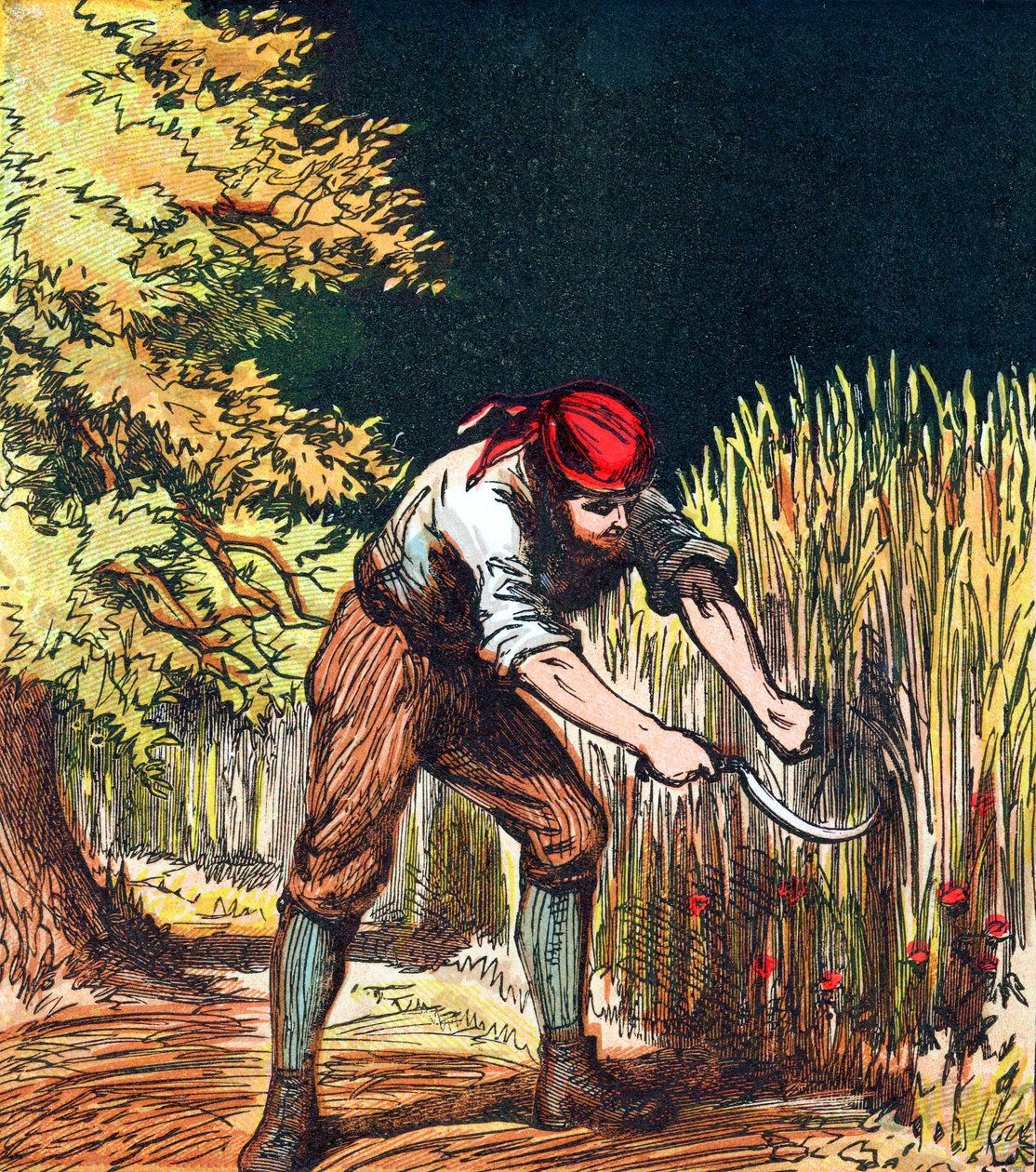 Reaper begynner å kutte hvete med en sigd, 1867 av Unbekannt