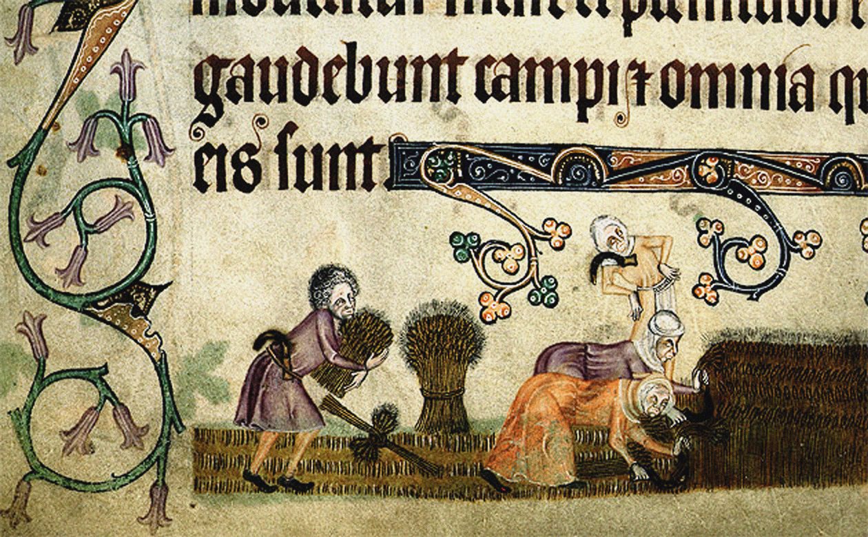 Høste og binde skiver fra Luttrell Psalter, ca 1330 av Unbekannt