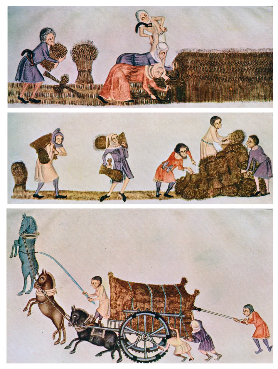 Høste, bære og kjøre, c1300-1340, c1900-1920 av Unbekannt
