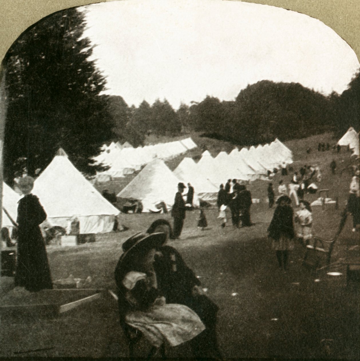 Flyktninger leir på ballbaner i Golden Gate Park, 1906. av Unbekannt