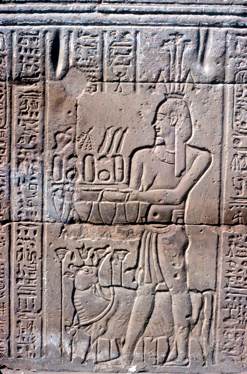 Relieff av Hapi Hapy Nilens gud i flom, Khnum-tempelet, ptolemaiske og romerske perioder av Unbekannt