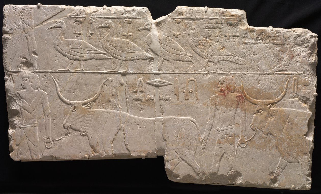 Relieff for menn som bringer fugler og storfe, ca. 2311-2281 f.Kr. av Unbekannt