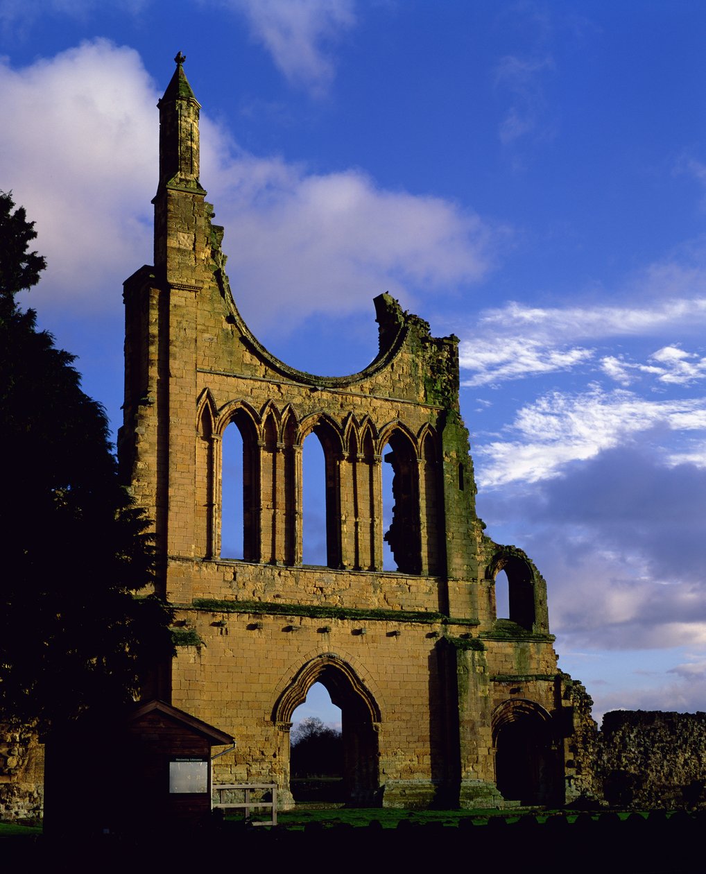 Rester av fasaden, Byland Abbey, North Yorkshire (bilde) av Unbekannt