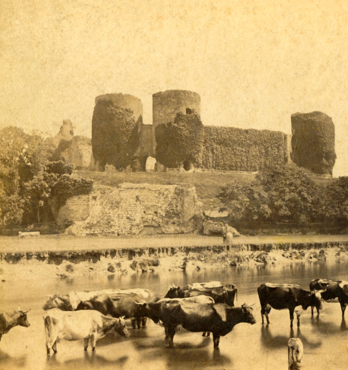 Rhuddlan - Slott fra elven, ca 1900. av Unbekannt