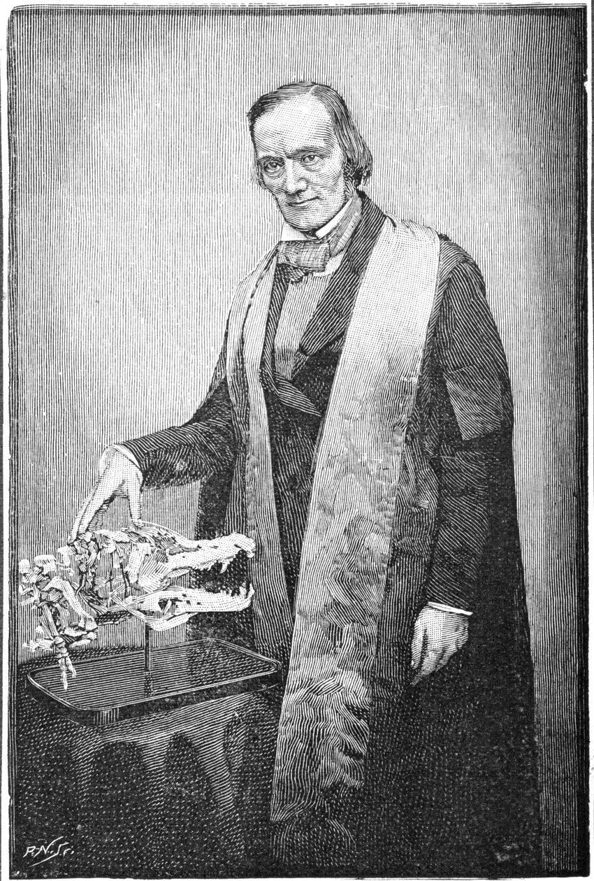 Richard Owen, britisk naturforsker, c1856 1891 av Unbekannt