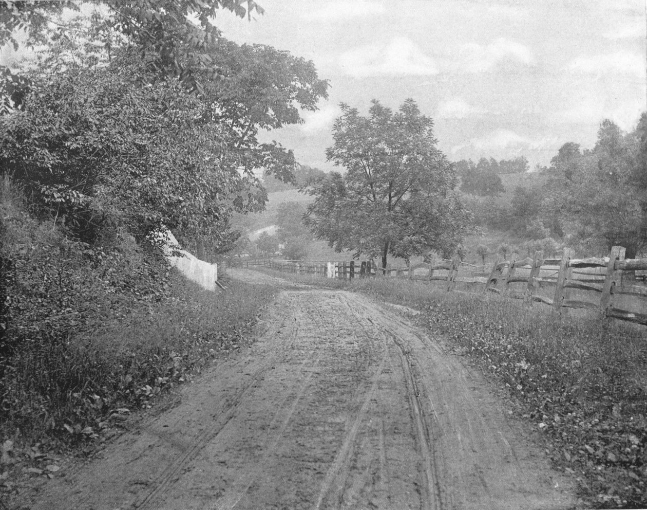 Road Alongside the Brandywine, Pennsylvania, USA, c1900. av Unbekannt