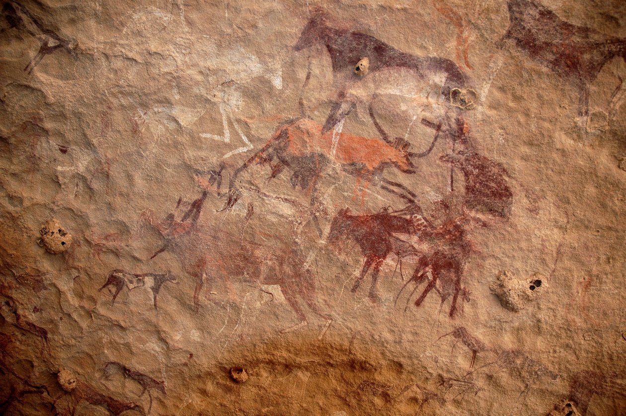 Bergkunst, forhistorie: Bergmaleri av en gruppe storfe og polykrome karakterer (hyrder og bueskyttere) i et utsmykket ly, i Uweinat-massivet, Sudan. Periode fra 8000 til 3000 år f.Kr. Fotografering av Unbekannt