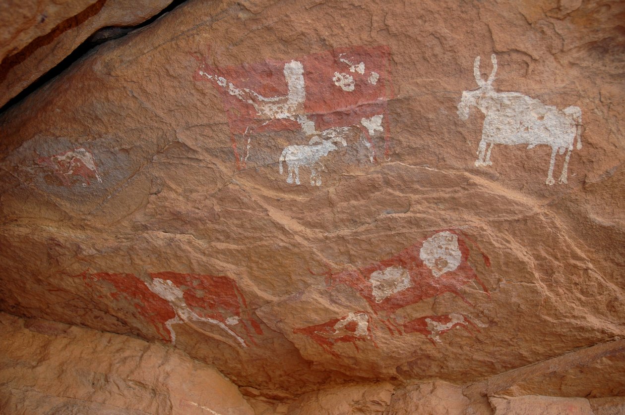 Bergkunst, forhistorie: Bergmaleri av en gruppe storfe og sauer i et utsmykket ly, i Uweinat-massivet, Sudan (Karkur-Talh eller Karkur Talh). Periode fra 8000 til 3000 år f.Kr. Fotografering av Unbekannt